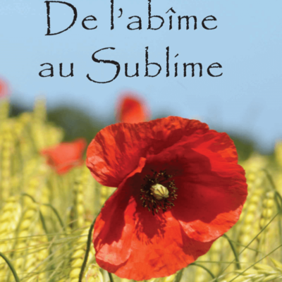 De l'abîme au sublime